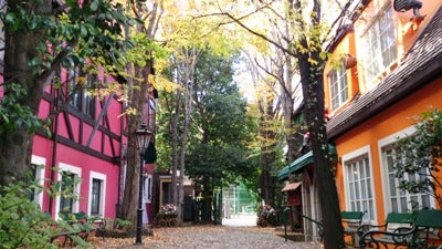 住宅街に潜む ドイツのクリスマスショップ 高輪プリンセスガルデン 世界のteacupから リビング田園都市web