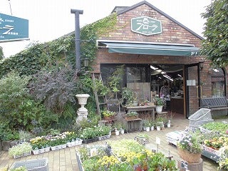 お庭の冬仕度をはじめよう フローラ黒田園芸 リビング埼玉web