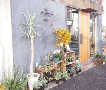 素敵な融合 花とお菓子のお店 Cotito 西荻窪 リビングむさしのweb