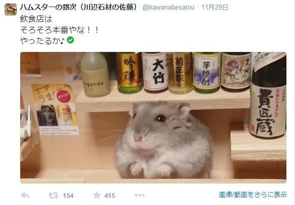 Twitterで人気！居酒屋の大将「ハムスターの銀次」｜ニュースコラム