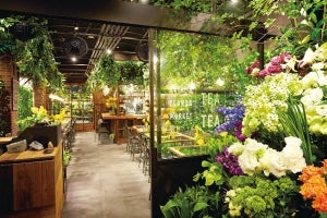 植物園 温室をイメージしたカフェで 南国気分 特集 リビング東京web