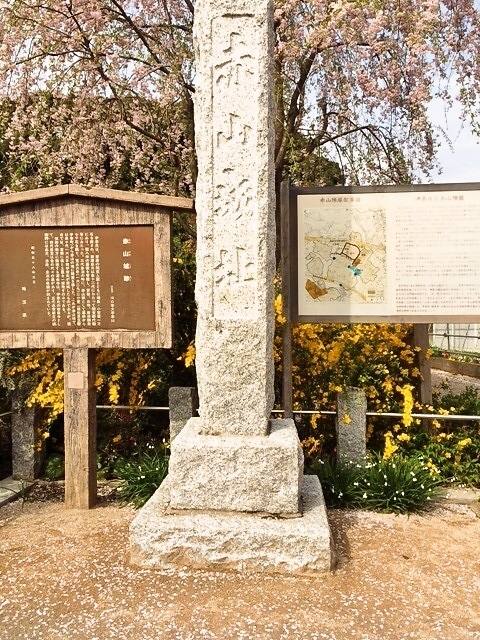 花と緑の安行散策におすすめ 見所盛りだくさんの 赤山陣屋跡 リビング埼玉web