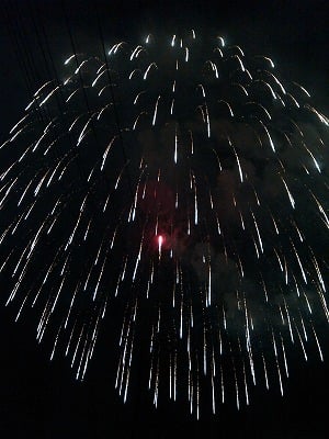 迫力ある花火見るなら ちょっと足を延ばすべし リビング田園都市web 迫力ある花火見るなら ちょっと足を延ばすべし リビング田園都市web