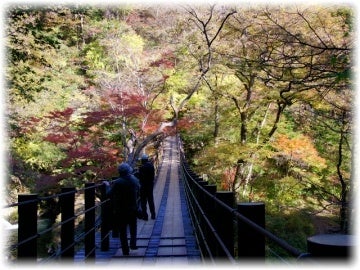 茨城で穴場の紅葉名所 花貫渓谷 は吊り橋に覆いかぶさるモミジが見所 リビングかしわweb