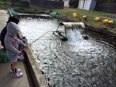 とったど 釣り素人日誌 手賀沼フィッシングセンター リビングかしわweb