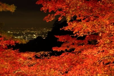 ミシュラン2つ星の景色を臨む 大山寺 のライトアップ Madame ｍのcamera リビング田園都市web