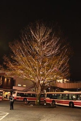 今年もやってます 駅前イルミネーション 三鷹 武蔵境 リビングむさしのweb