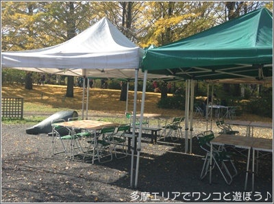 立川 平日限定 手ぶらでbbqランチ 昭和記念公園bbqガーデン リビング多摩web