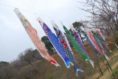 空の駅 さくら館 で売られている絶品シフォンケーキ リビング千葉web