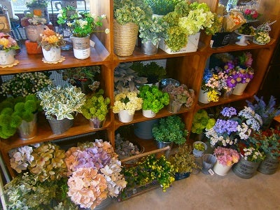 フェイクグリーンがおしゃれ 西宮の雑貨屋 花香桜cacao へ リビング兵庫web