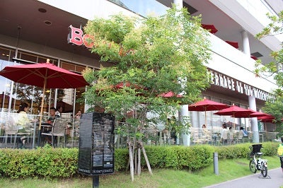 ハワイでも大人気 中之島 ボガーツカフェ で本場のパンケーキ リビング大阪web