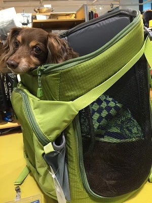 モンベル（mont-bell）に愛犬とお買い物♪ドギーキャリーバッグ