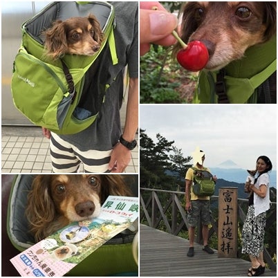 モンベル Mont Bell に愛犬とお買い物 ドギーキャリーバッグ リビング東京web