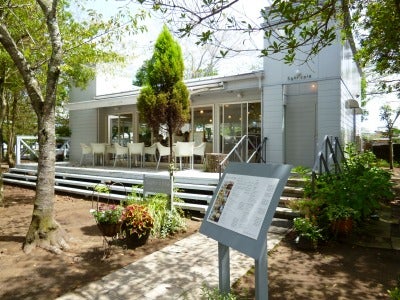 ガラス食器にうっとり 九十九里町のお洒落なカフェ Sghr Cafe リビング千葉web