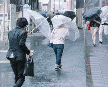 台風のとき怖いのは、雨?風? | リビングWeb