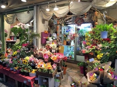 年中無休で 深夜まで営業 日吉駅前スグのお花屋さん Hana Hana リビング横浜web