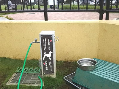 リニューアルの ふなばしアンデルセン公園ドッグラン で犬と遊ぼう リビング千葉web