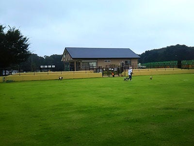 リニューアルの ふなばしアンデルセン公園ドッグラン で犬と遊ぼう リビング千葉web