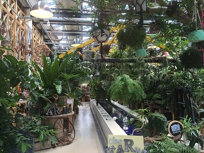 関東最大規模 ガーデンセンターthe Farm Universalの巻 リビング千葉web