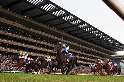 UMAJO通信】vol.2 東京競馬、開催中。グルメフェスも！ | リビング多摩Web