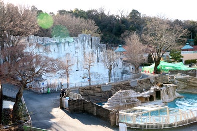 東山動植物園が80周年！新たに獣舎を改装、小学生向けにターザン