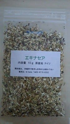 免疫力up 風邪やインフルエンザ予防に花粉症にもよいハーブ エキナセア リビングかしわweb