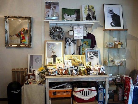 イベント盛りだくさん 江田の使える猫カフェブラン リビング田園都市web