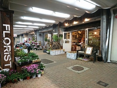 さまざまな花やアレンジに癒される 本郷台 花う リビング横浜web