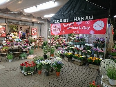 さまざまな花やアレンジに癒される 本郷台 花う リビング横浜web