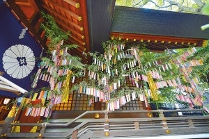 七夕祭りにほおずき市 楽しい縁日も 東京都内の夏祭り５選 特集 リビング東京web