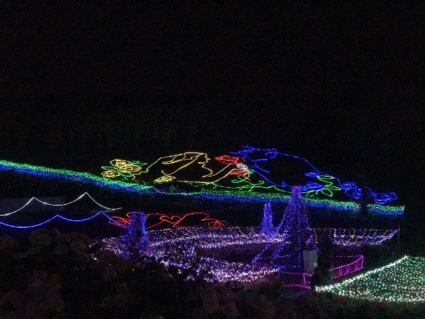 鹿児島でここだけ 恋人の聖地かのやばら園のばら祭りに行ってみた リビングかごしまweb