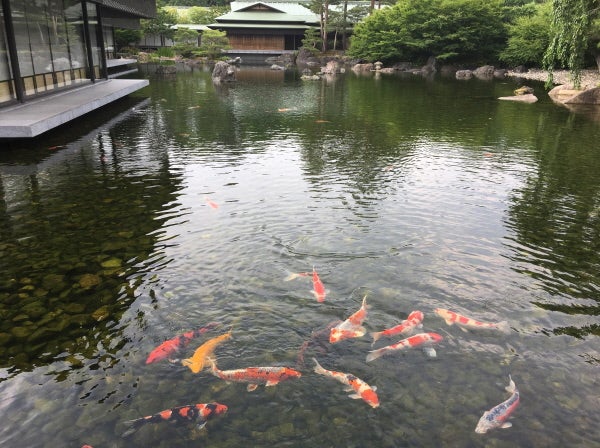 日本のおもてなし「京都迎賓館」で和の匠を見る【京都】 | リビング