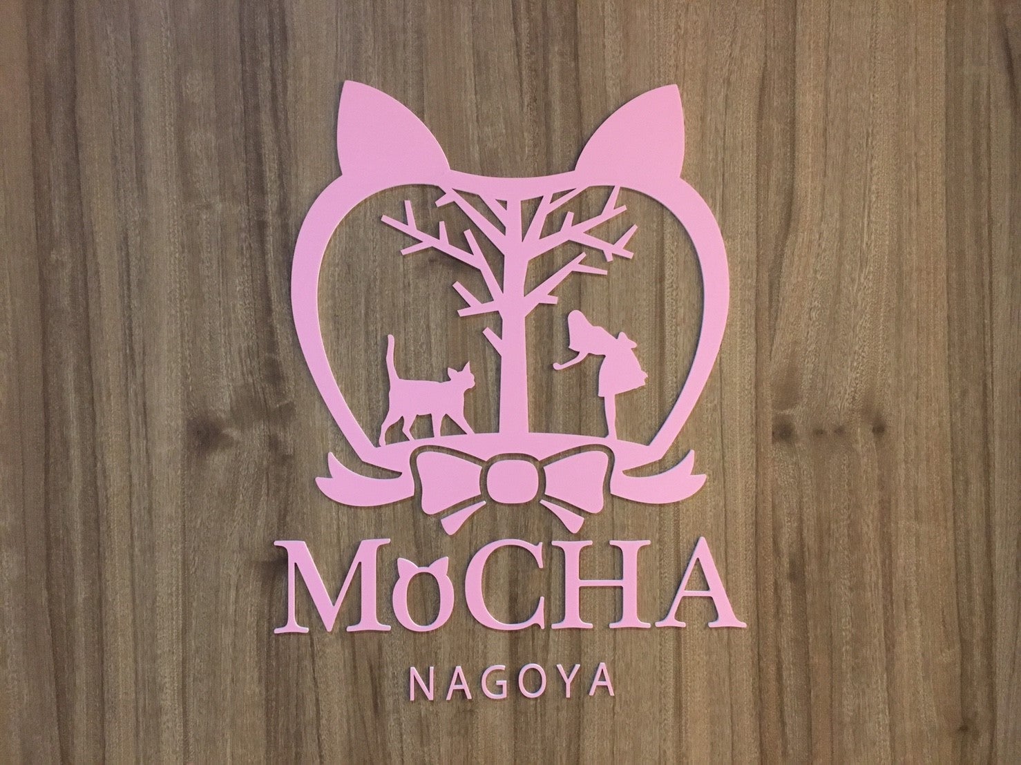 お洒落な猫カフェmocha モカ なんと漫画喫茶としても使える 栄 リビング名古屋web