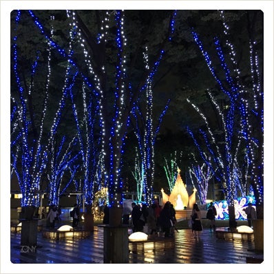 さいたま新都心けやきひろばイルミネーションが今年もはじまったよ の巻 リビング埼玉web