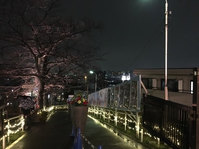 やっぱり綺麗 よみうりランドのジュエルミネーションに行って来ました リビング田園都市web やっぱり綺麗 よみうりランドのジュエルミネーションに行って来ました リビング田園都市web