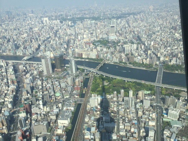 押上 東京スカイツリー 日曜の混雑状況速報 攻略ポイント リビング東京web