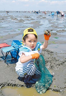 房総半島満喫 海釣り 潮干狩り 磯遊び イルカウオッチング すだて遊び 特集 リビング千葉web