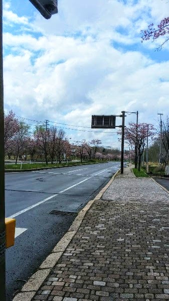 穴場 札幌から車で2時間弱 登別方面へ女子旅ドライブのススメ 発見 リビング札幌web