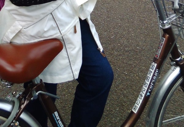 レンタルでもマイ自転車でも 昭和記念公園 秋風サイクリングのススメ リビング多摩web