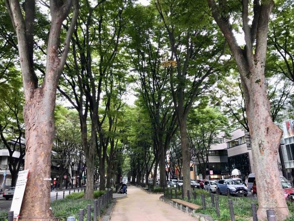 勾当台公園 秋の女子会ランチにおいしいイタリアンレストラン リビング仙台web