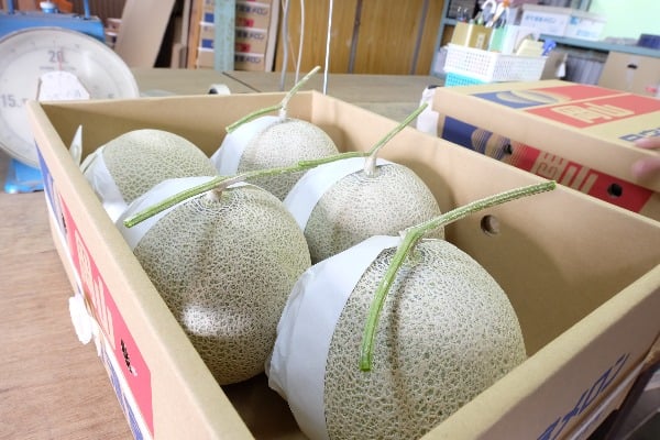 足守メロンをもっと身近に！直売所【メロン団地】に行ってきた＠岡山市