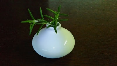 ローズマリーの香りに癒される 高い消臭効果でお部屋のインテリアにも リビングかしわweb ローズマリーの香りに癒される 高い消臭効果でお部屋のインテリアにも リビングかしわweb