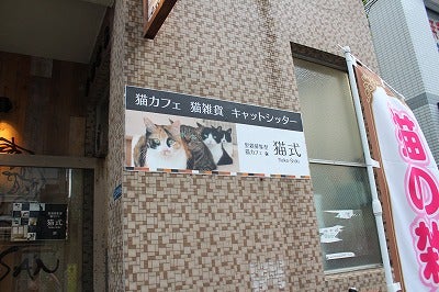 溝の口の猫カフェ 猫式 で癒やされる リビング田園都市web