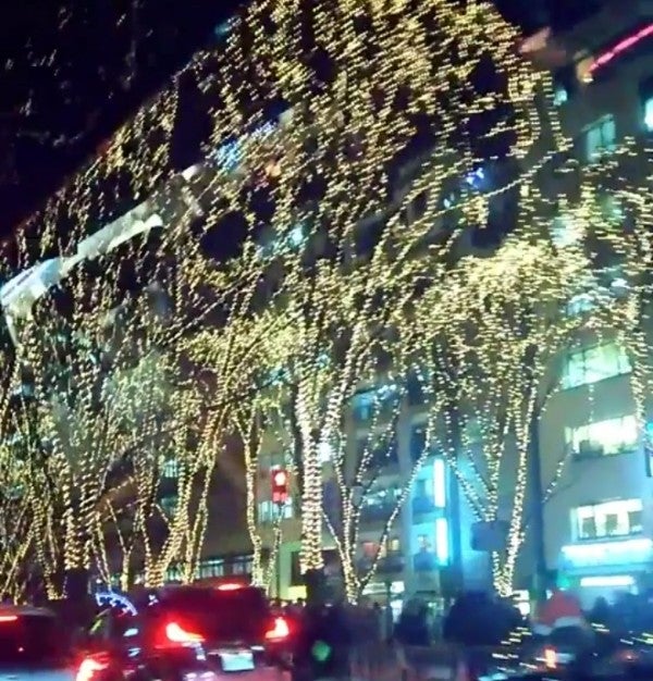 イルミネーション 仙台市 宮城県の超絶おすすめスポット リビング仙台web