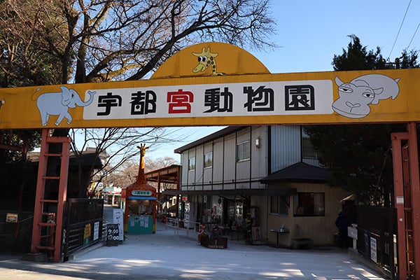 宇都宮 駅 から コレクション 宇都宮 動物園 バス