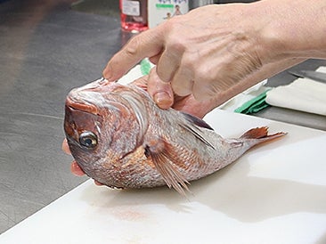 鯛 さばけますか 水産市場で学ぶ人気教室 魚のさばき方料理教室 で料理の腕前up 特集 リビングえひめweb