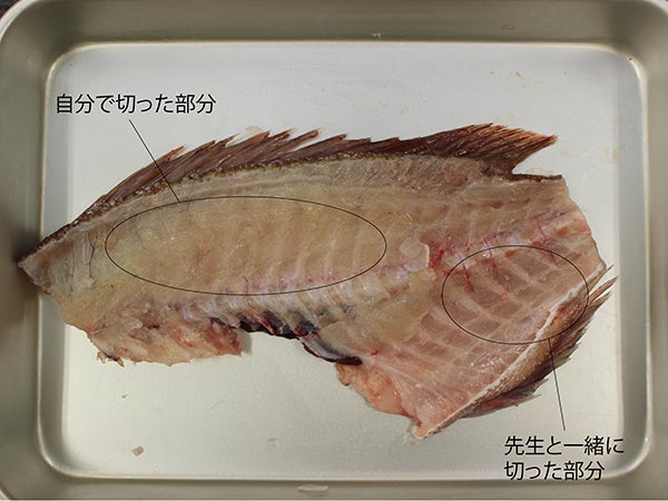 鯛 さばけますか 水産市場で学ぶ人気教室 魚のさばき方料理教室 で料理の腕前up 特集 リビングえひめweb