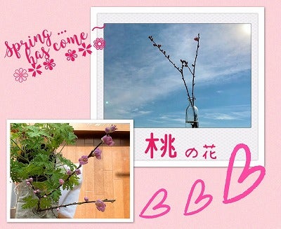 取り出し易いっ 丈夫っ 結び易いっ ステキ ゴミ袋 探してホームセンター巡り ずぼら主婦 リビング埼玉web