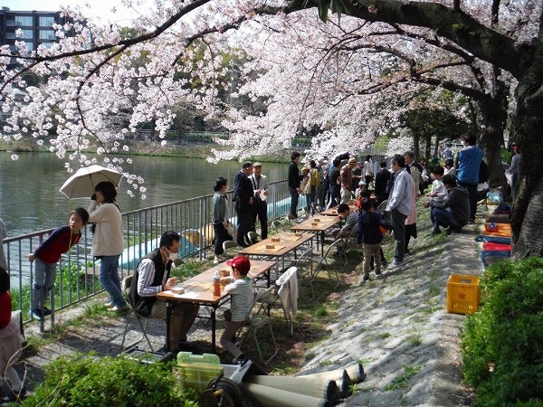 地元民はココに行く 穴場お花見スポット 隼人池公園 に一足早く行ってみた 昭和区 リビング名古屋web