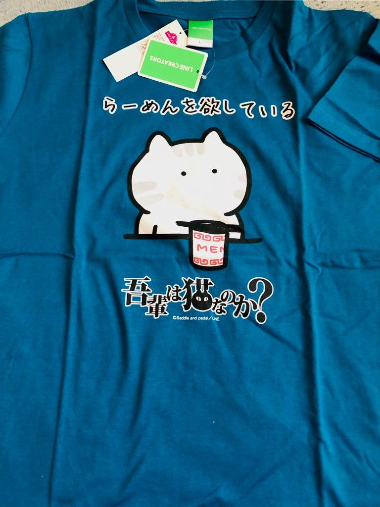 そろそろtシャツが出回る季節です イオンで面白tシャツを発見 リビングメイト ファッション アラフィフクーコのバラ色の人生 リビングメイト リビングくらしナビ